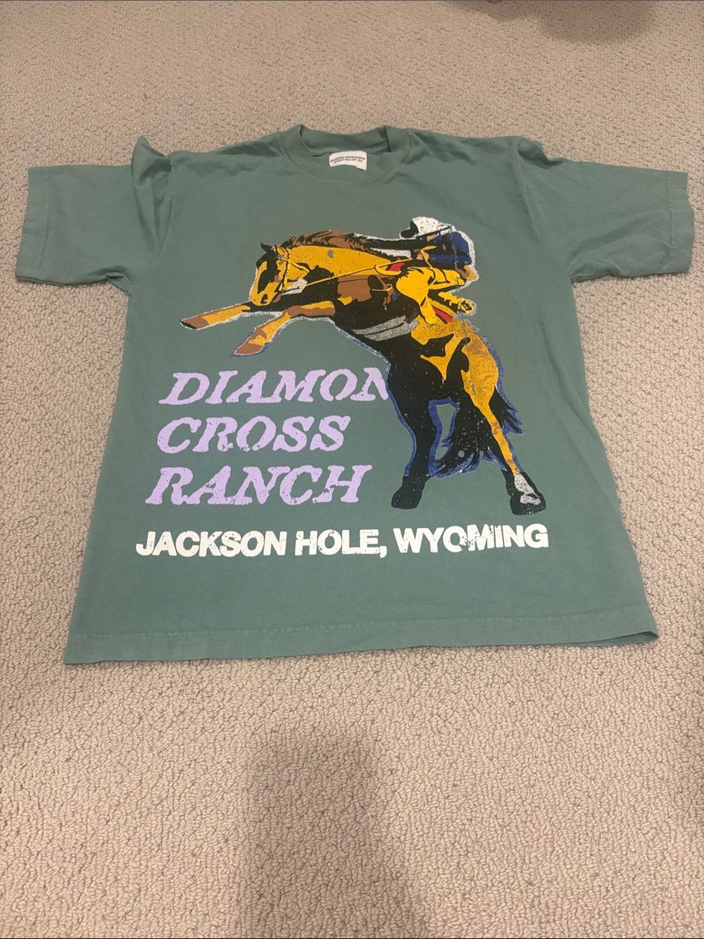 Diamond Cross Ranch Jackson Hole Graphic Tee - Sage Green